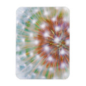 Abstract of dandelion seed head magnet (Vertikal)