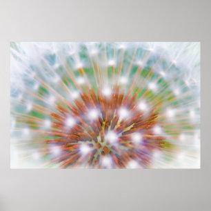 Abstract of dandelion seed head poster
