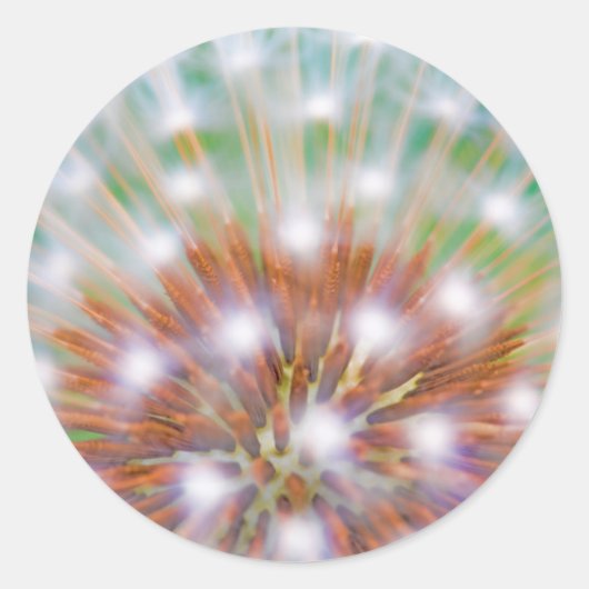 Abstract of dandelion seed head runder aufkleber (Vorderseite)