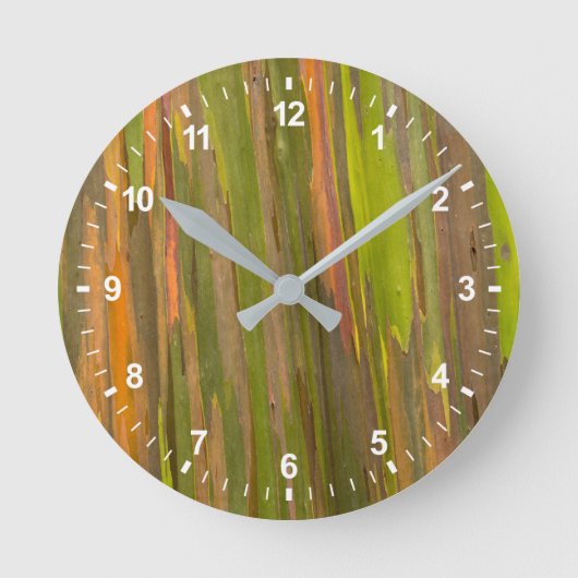 Abstract Of Eucalyptus Bark Runde Wanduhr (Vorderseite)