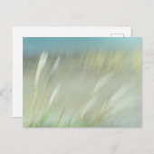Abstract Photograph Postcard Postkarte (Vorne/Hinten)