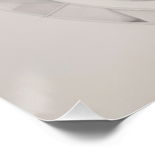 Abstract white rose poster (Ecke)