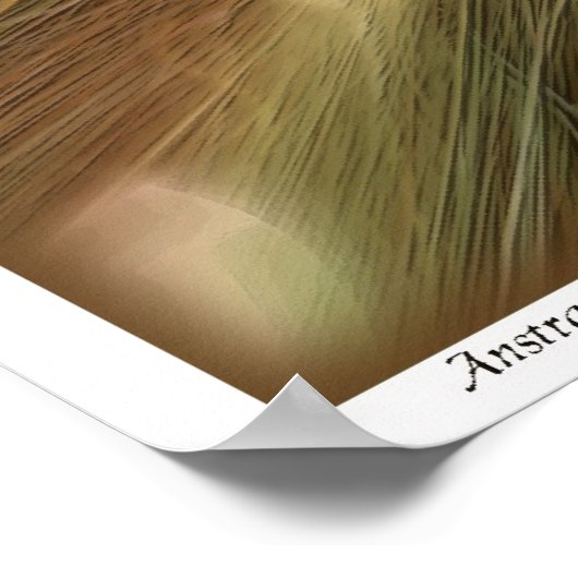 Abstrakt 30 poster (Ecke)