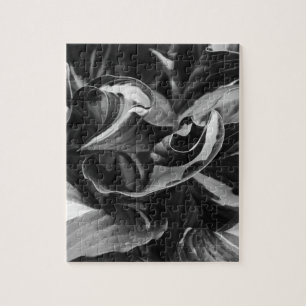 Abstrakt Black and White Curly Hosta Blätter Puzzle