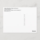 Abstrakt Blue Rays Aquarellbilder Postkarte (Rückseite)