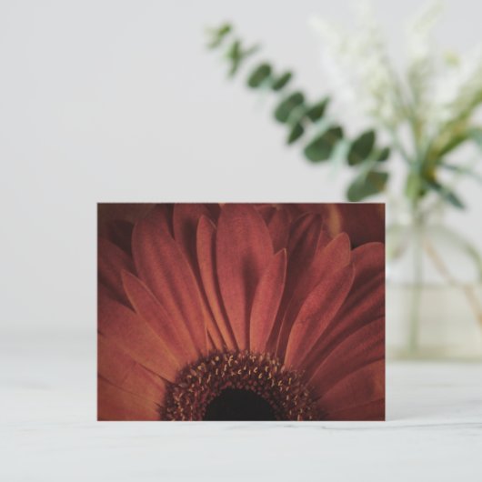 Abstrakt Daisy Postkarte (Stehend Vorderseite)