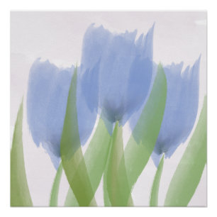 Abstrakt Drei blaue Tulpen Poster