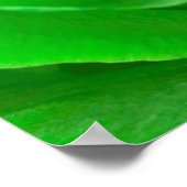 Abstrakt Emerald Green Rose Center Fotografie Poster (Ecke)