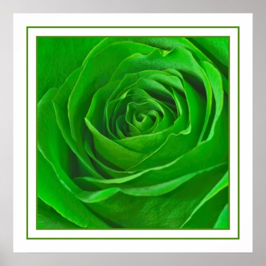 Abstrakt Emerald Green Rose Center Fotografie Poster (Vorne)