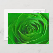 Abstrakt Emerald Green Rose Center Fotografie Postkarte (Vorne/Hinten)