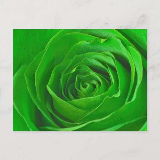 Abstrakt Emerald Green Rose Center Fotografie Postkarte (Vorderseite)