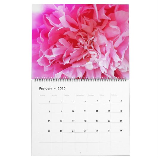 Abstrakt & floral 2025 Calendar - MultiMediaSusan Kalender (Feb 2026)