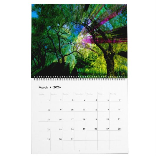 Abstrakt & floral 2025 Calendar - MultiMediaSusan Kalender (Mär 2026)