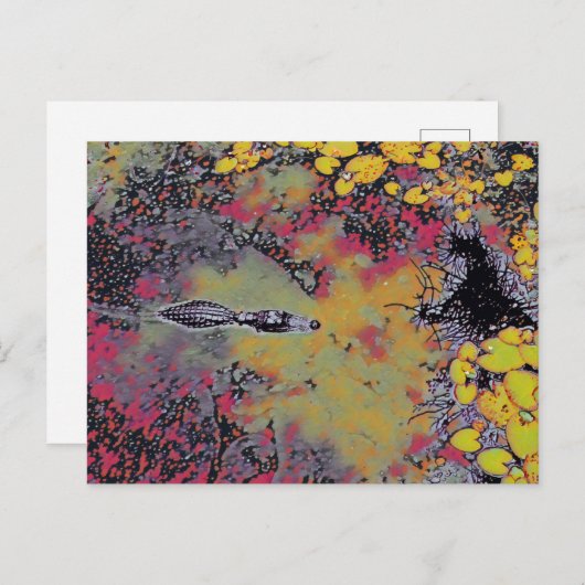 Abstrakt Gator Postkarte (Vorne/Hinten)