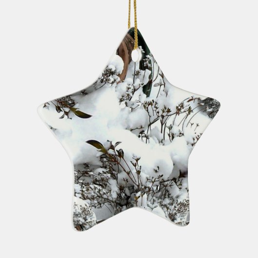 Abstrakt Keramikornament (Rechts)