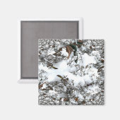 Abstrakt Magnet (Vorderseite/Rückseite)