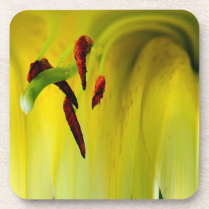 Abstrakt Makro Lily Stamen Floral Cork Untersetzer
