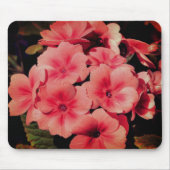 Abstrakt Peach Primrose Blume Kunst Mousepad (Vorne)