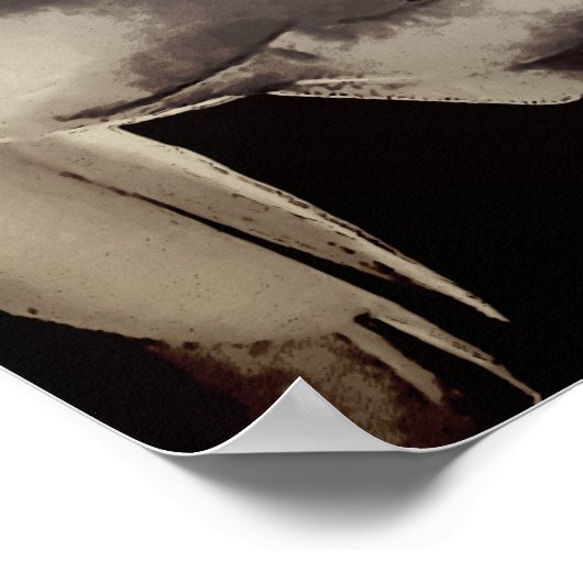 Abstrakt Schwarz-Weiß-Blüten Poster (Ecke)