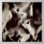 Abstrakt Schwarz-Weiß-Blüten Poster (Vorne)