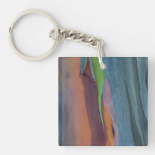 Abstrakt vom Regenbogengummibaum Schlüsselanhänger