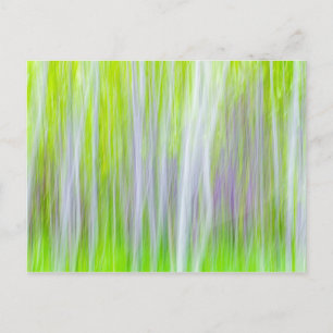 Abstrakt von Aspen Trees   Yakima River Trail, WA Postkarte