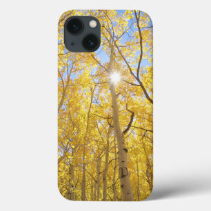 Abstrakt von Gilia zwischen Wildblumen Kaliforni Case-Mate iPhone Hülle