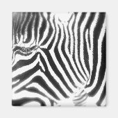 Abstrakt Zebra Magnet (Vorne)
