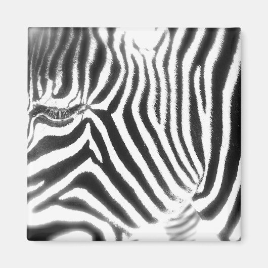 Abstrakt Zebra Magnet (Vorne)