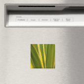 Abstrakte Agavenpflanze Magnet (In Situ (Geschirrspüler))