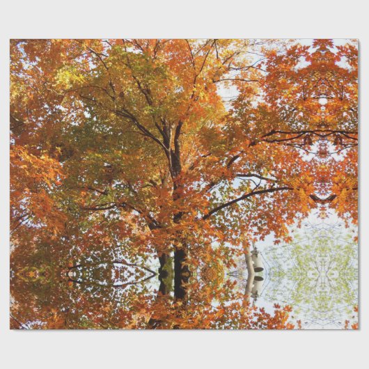 Abstrakte Ahornsaison Baumkronen oder Geschenkpapier (Flach)