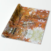 Abstrakte Ahornsaison Baumkronen oder Geschenkpapier (Ungerollt)