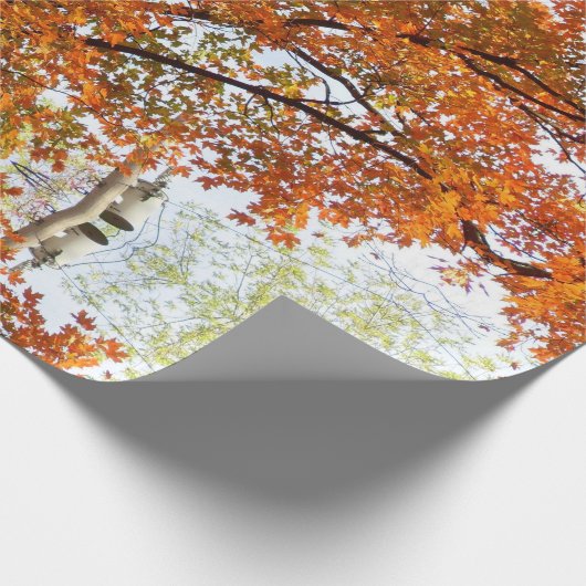 Abstrakte Ahornsaison Baumkronen oder Geschenkpapier (Ecke)