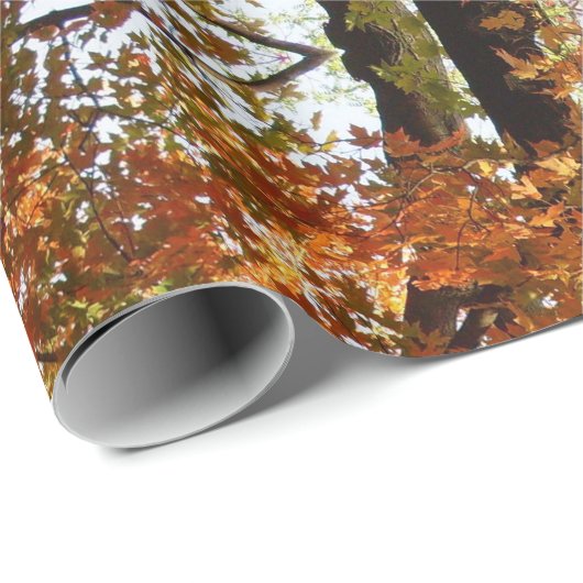 Abstrakte Ahornsaison Baumkronen oder Geschenkpapier (Rolleneckpunkt)