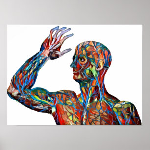 abstrakte Anatomie des Menschen Venen Arterien Kun Poster