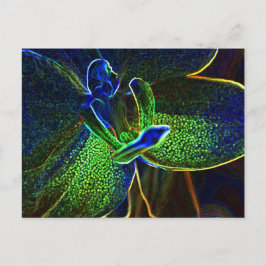 Abstrakte Anthura-Postkarte Postkarte