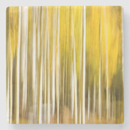 Abstrakte Aspekte Steinuntersetzer