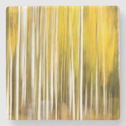 Abstrakte Aspekte Steinuntersetzer (Vorderseite)