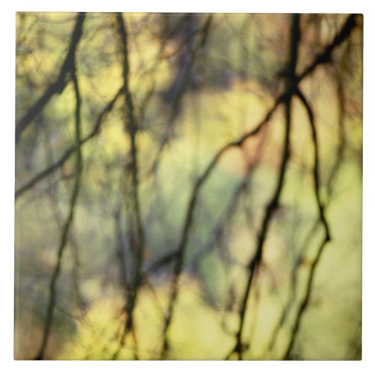 Abstrakte Bäume Fliese (Vorderseite)