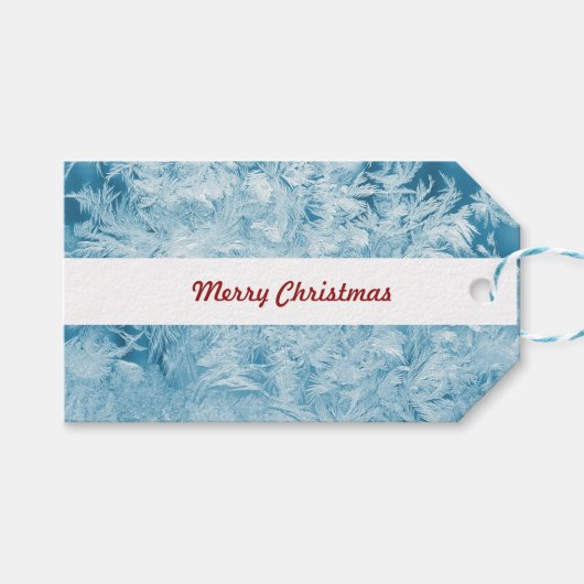 abstrakte blaue Federn und Schneeflocken Geschenkanhänger (Vorderseite (Horizontal))