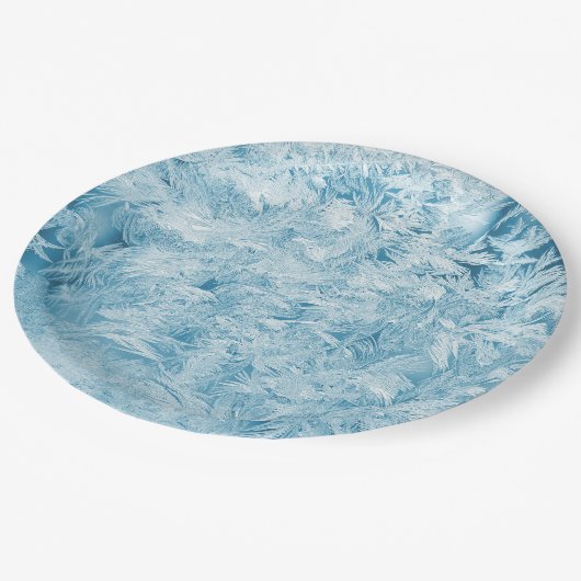 abstrakte blaue Federn und Schneeflocken Pappteller (Schrägansicht)