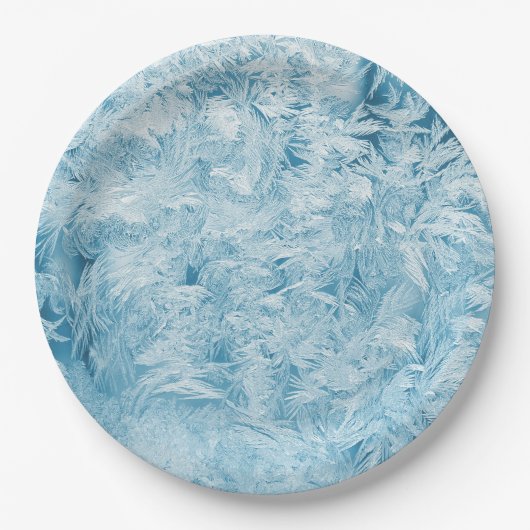 abstrakte blaue Federn und Schneeflocken Pappteller (Vorderseite)
