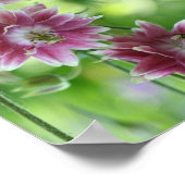 Abstrakte Blume in Rot und Weiß Poster (Ecke)