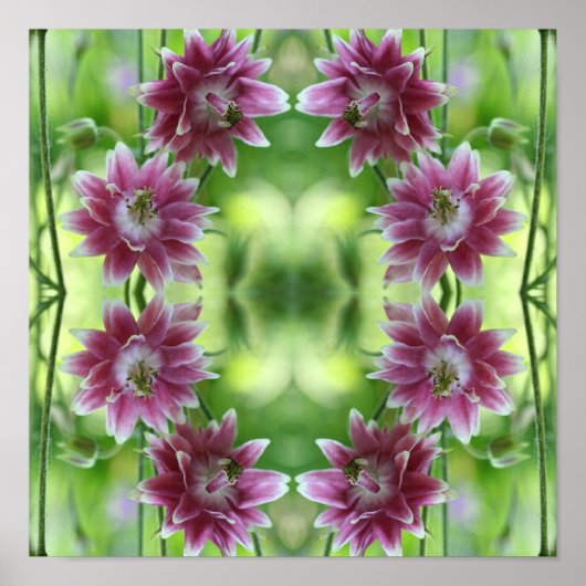 Abstrakte Blume in Rot und Weiß Poster (Vorne)