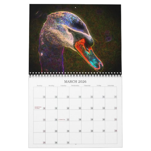 Abstrakte Blume und Naturkunst Kalender (Mär 2026)