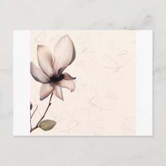 Abstrakte Blume Warme Farben Pip Postkarte