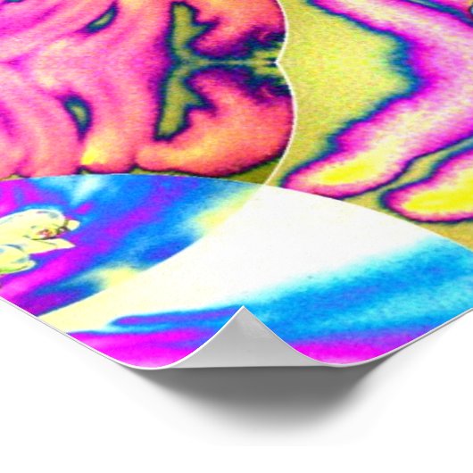 Abstrakte bohrosa orange-blaue lila Orchidee Poster (Ecke)