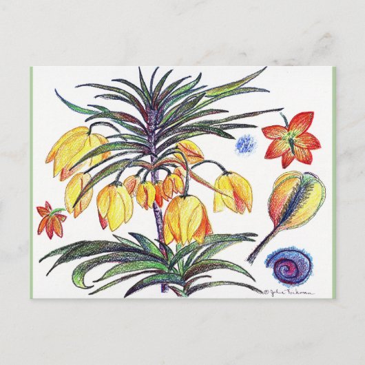 Abstrakte botanische Blume zeichnend Postkarte (Vorderseite)