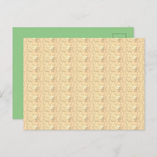 Abstrakte Dankbarkeit für Weißblüten Postkarte (Vorne/Hinten)