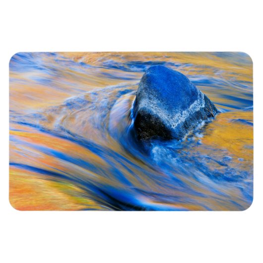 Abstrakte der Herbstfarben Magnet (Horizontal)